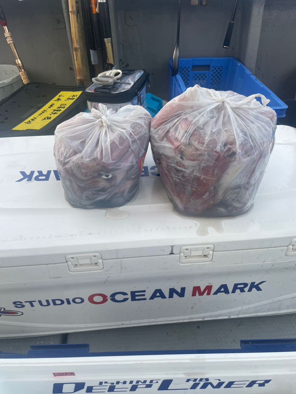 田畑良朗@なつき丸さんの釣果 3枚目の画像