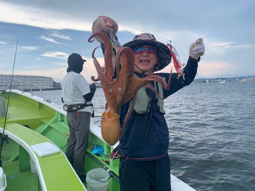タコの釣果