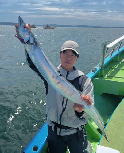 タチウオの釣果