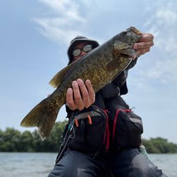 スモールマウスバス