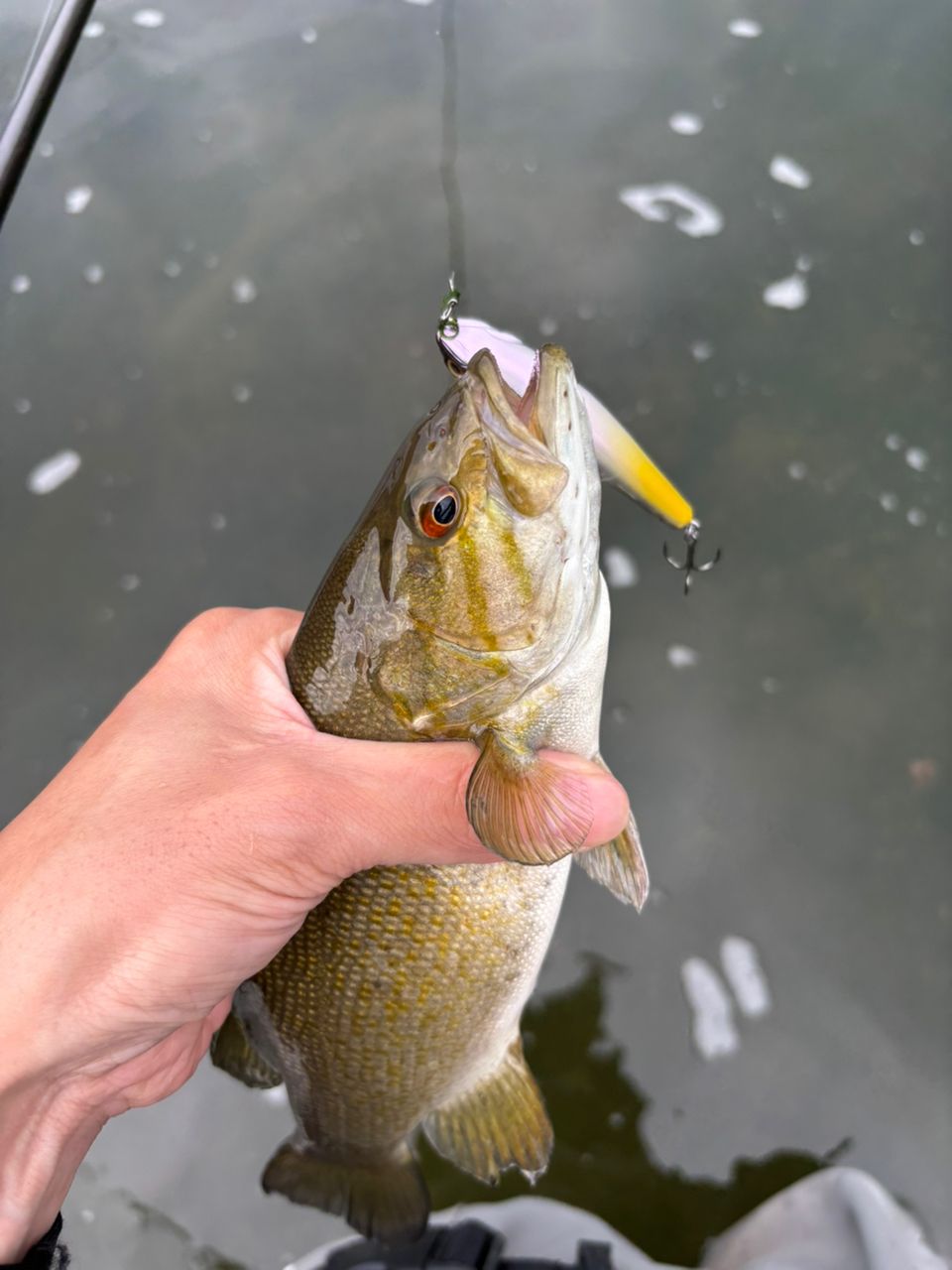 スモールマウスバス