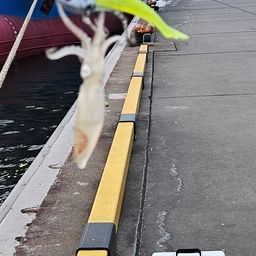 ヒイカ