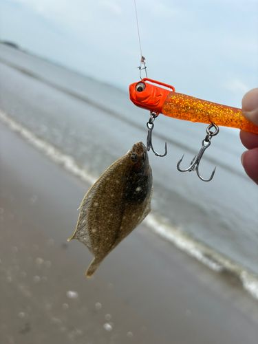 釣果