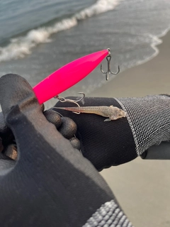 釣果