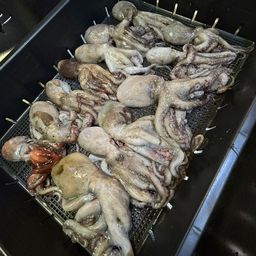 タコ