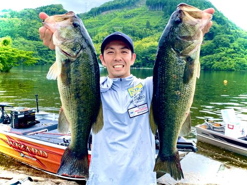 ブラックバスの釣果