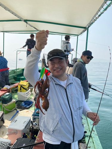 タコの釣果