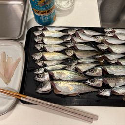メゴチ