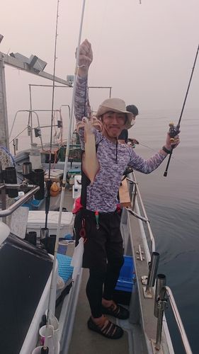 シロイカの釣果