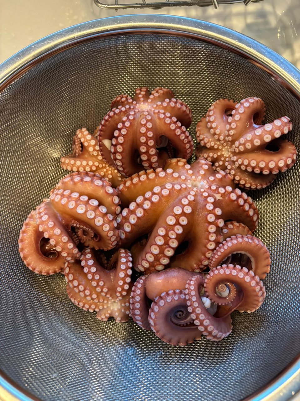 よぴっくさんの釣果 2枚目の画像
