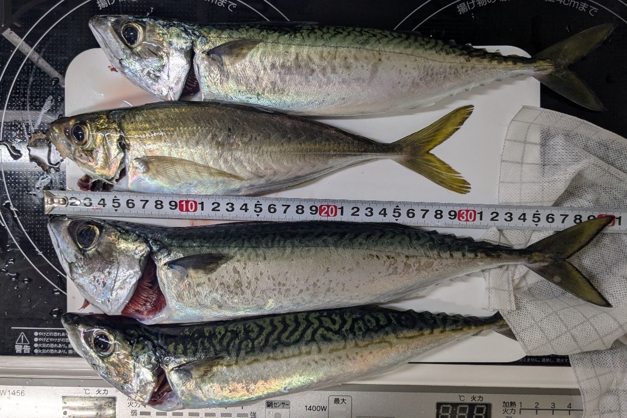 SHIMANO - 試投のみ 良好 SIMANO 16 NASCI ナスキー) 4000XG シマノ ナスキー 4000XGをレビュー！クチコミ・評判をもとに徹底
