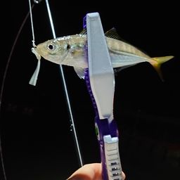アジ