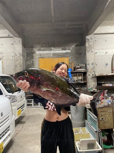 カスミアジの釣果