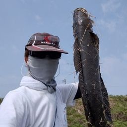 ライギョ