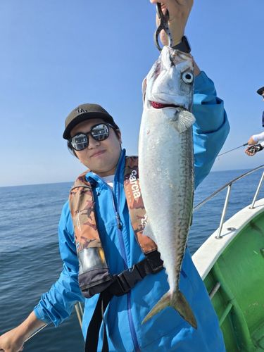 タイの釣果