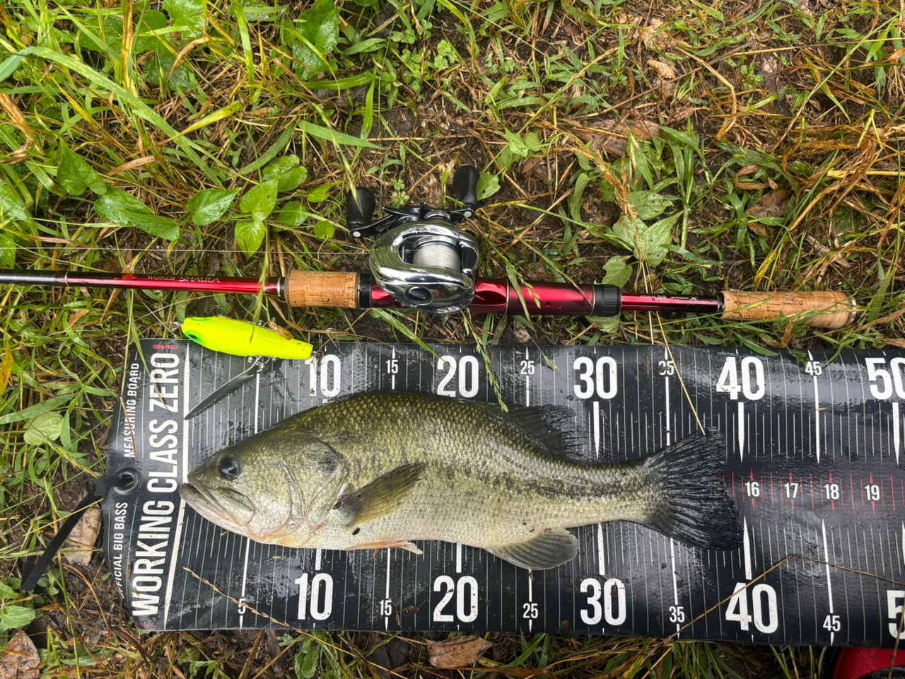 シマノ(SHIMANO) 18ワールドシャウラ 1702R-2 ワールドシャウラ