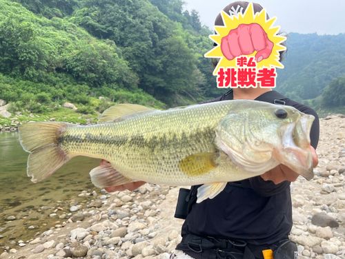 ブラックバスの釣果