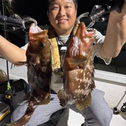 アコウ