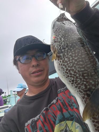ショウサイフグの釣果