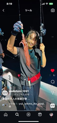 ケンサキイカの釣果