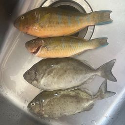 エーグヮー