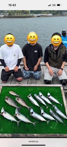 イサキの釣果