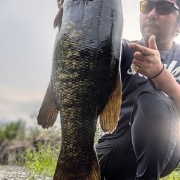 スモールマウスバス