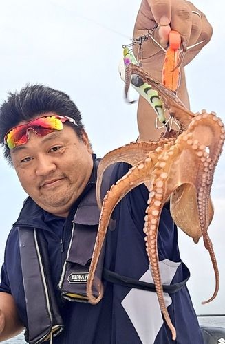 タコの釣果