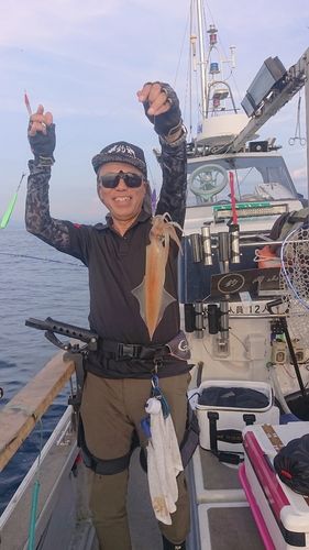 シロイカの釣果