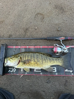 スモールマウスバスの釣果