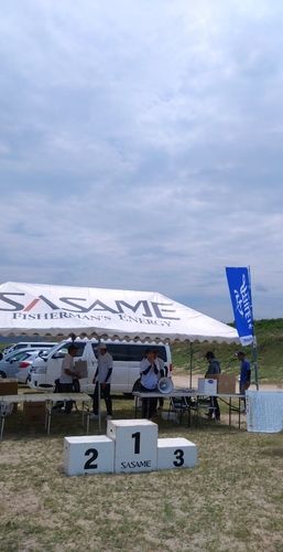 シロギスの釣果