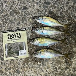 アジ
