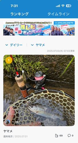 ヤマメの釣果