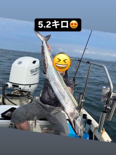 サワラ
