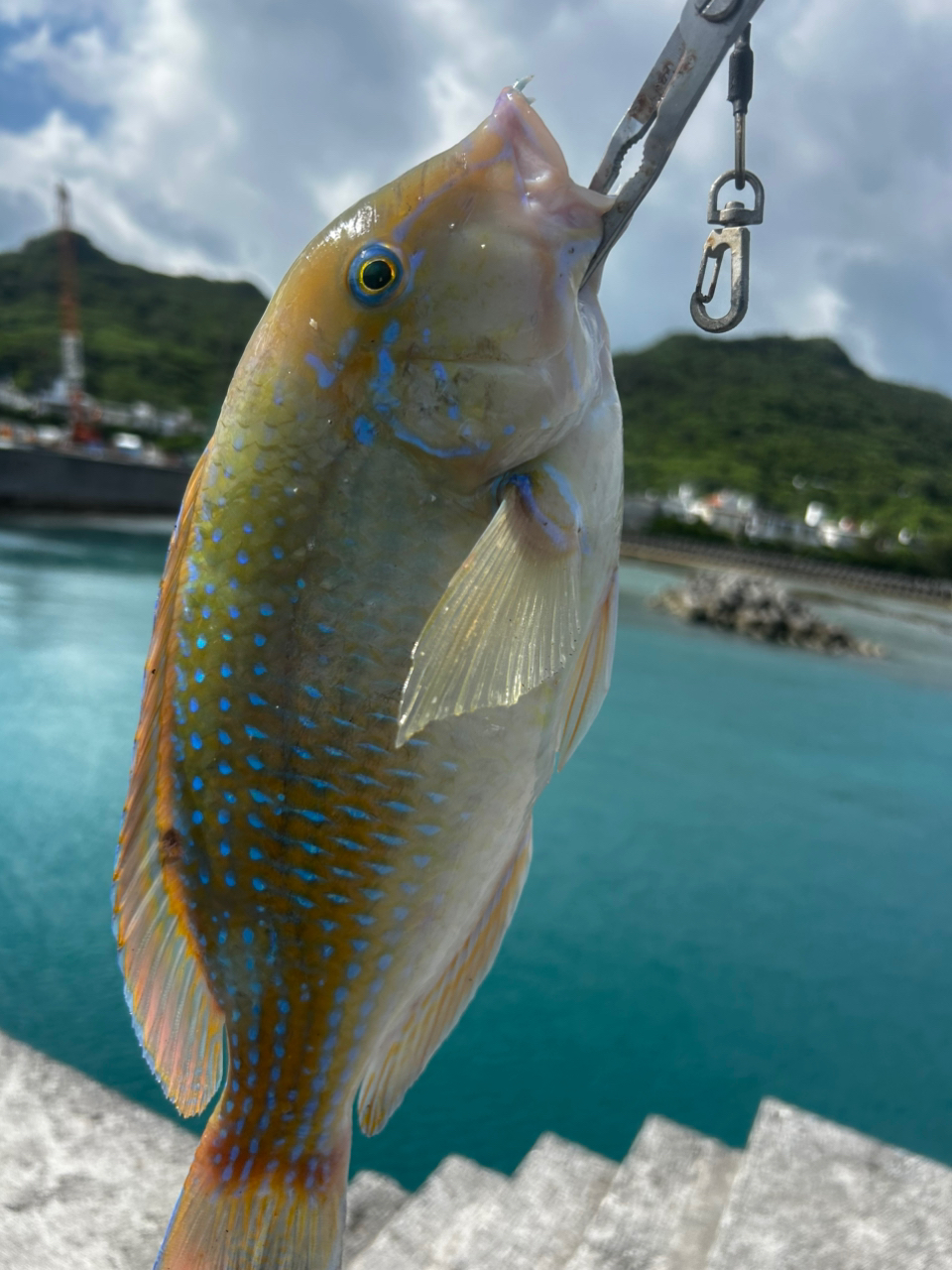 SHIMANO 21ツインパワー SW 14000XGの最安値・インプレ・釣果