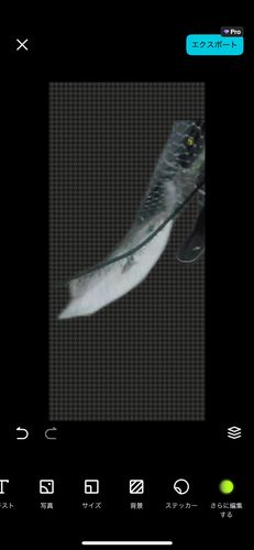 ワラサの釣果