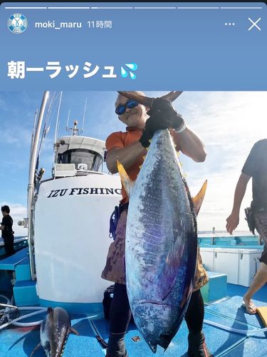 キハダマグロの釣果