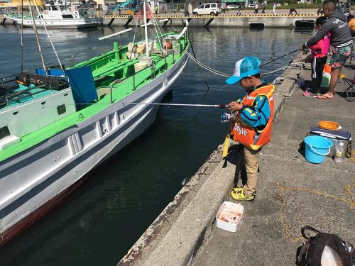 ゴマサバの釣果