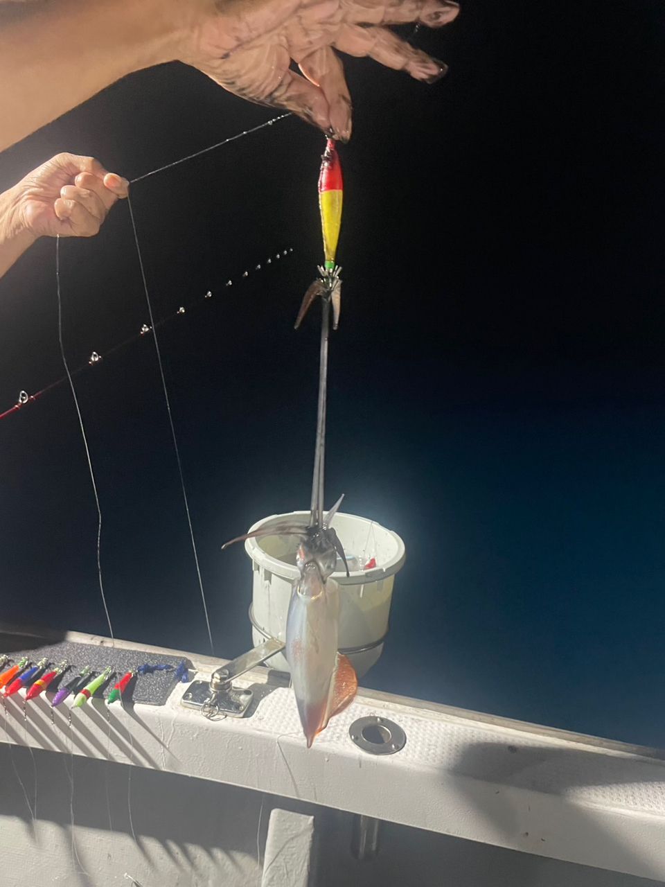 田畑良朗@なつき丸さんの釣果 2枚目の画像