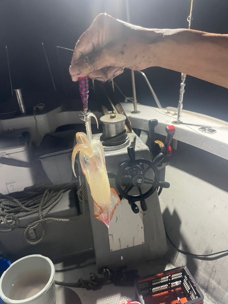 田畑良朗@なつき丸さんの釣果 3枚目の画像