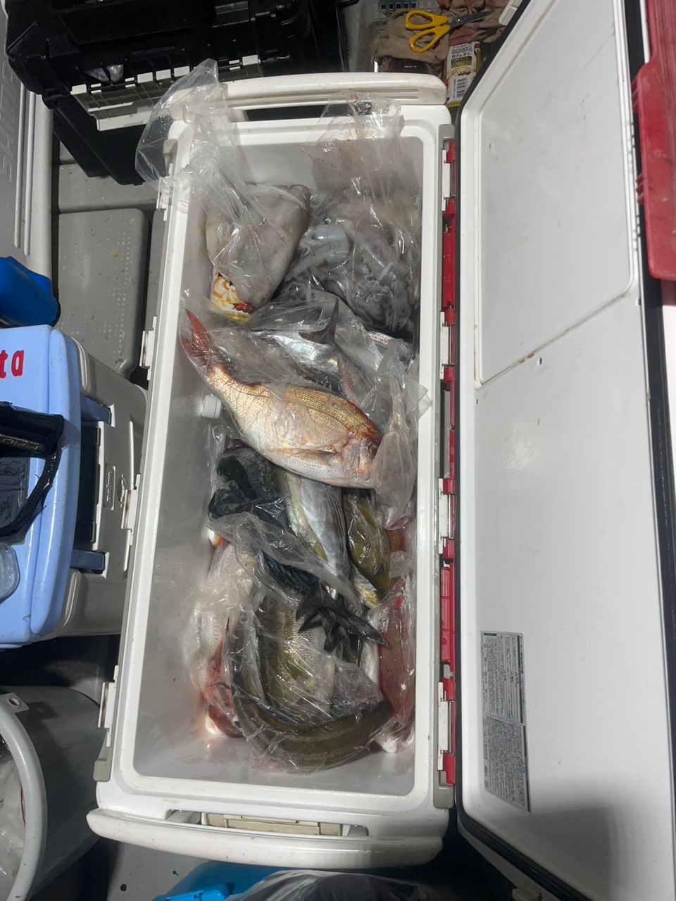 田畑良朗@なつき丸さんの釣果 2枚目の画像