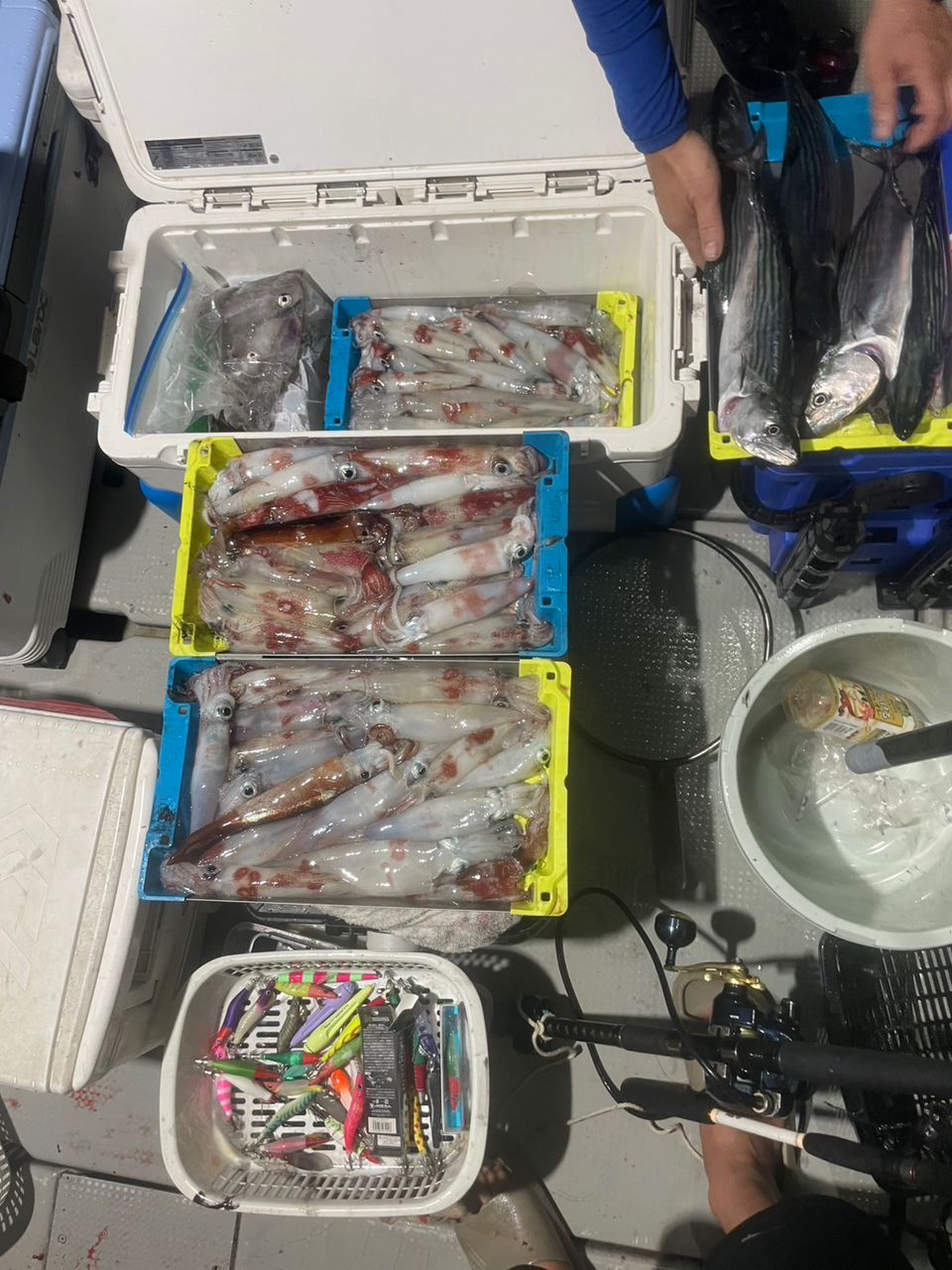 田畑良朗@なつき丸さんの釣果 3枚目の画像