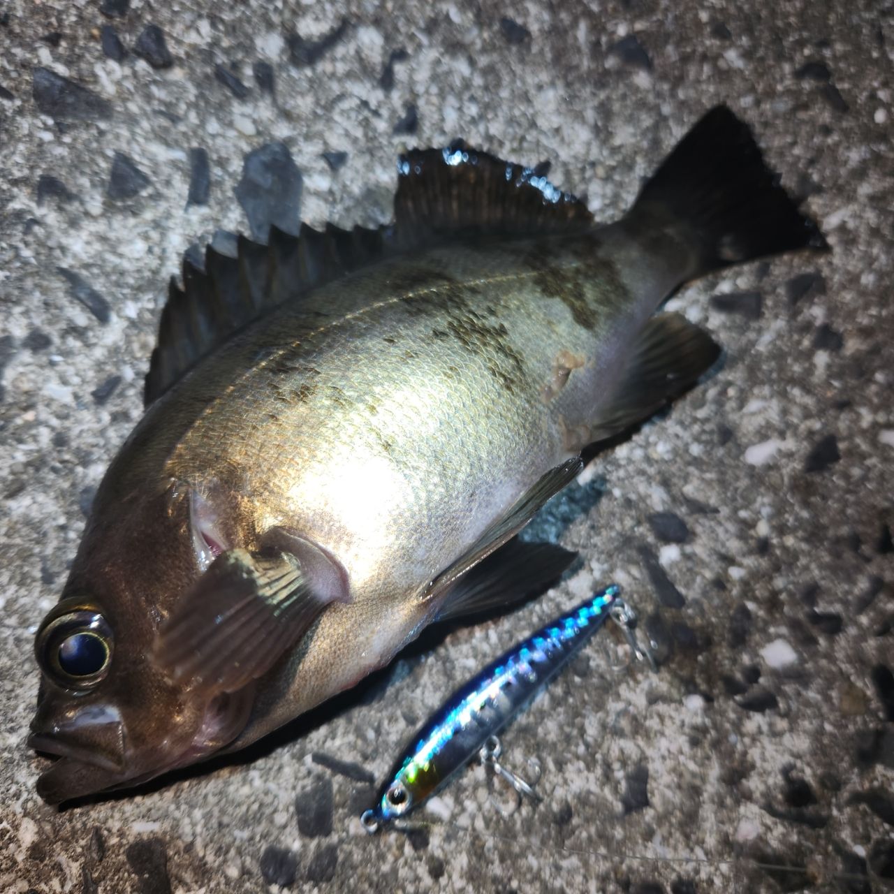 SHIMANO 20ソアレ エクスチューン S64UL+-Sの最安値・インプレ