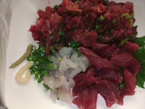 マルソウダの釣果