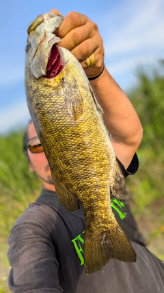 スモールマウスバスの釣果