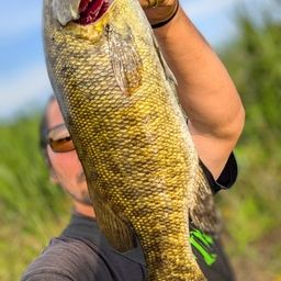 スモールマウスバス