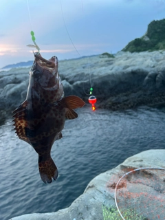 ノミノクチの釣果
