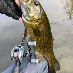 スモールマウスバス