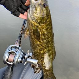 スモールマウスバス