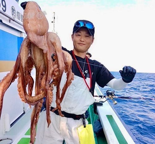 タコの釣果